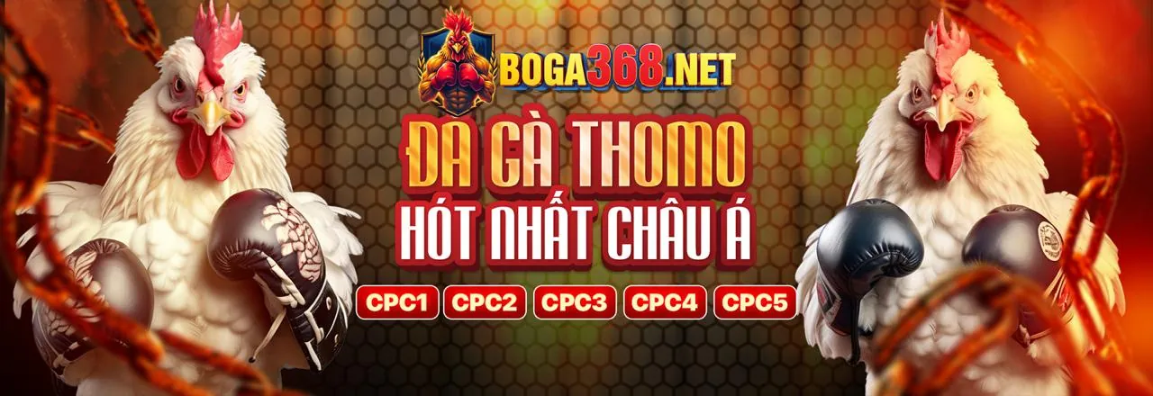 Đá gà trực tuyến kịch tính tại OK88
