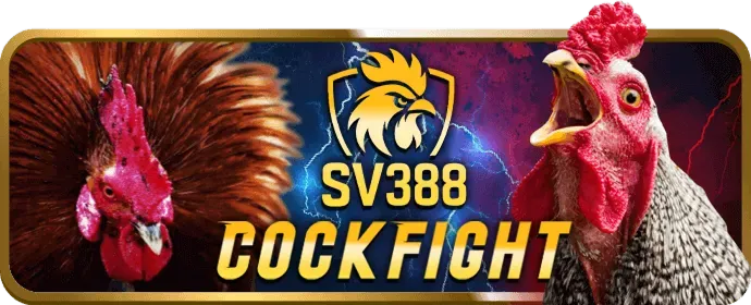 Hướng dẫn chơi Casino trực tuyến OK88 Code